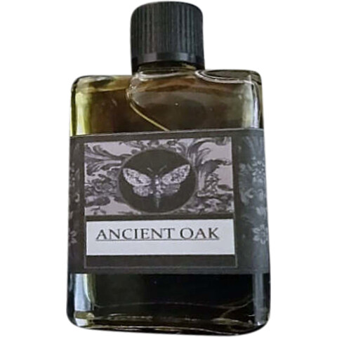 Ancient Oak